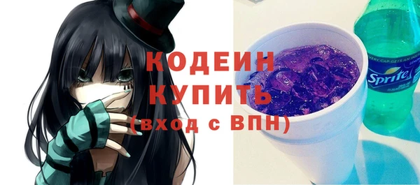 хмурый Белокуриха
