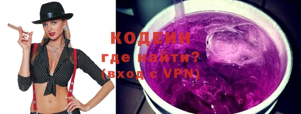 хмурый Белокуриха