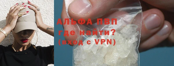 хмурый Белокуриха
