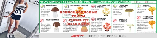 хмурый Белокуриха