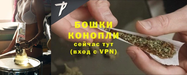 хмурый Белокуриха