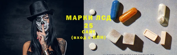 хмурый Белокуриха