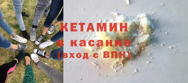 хмурый Белокуриха
