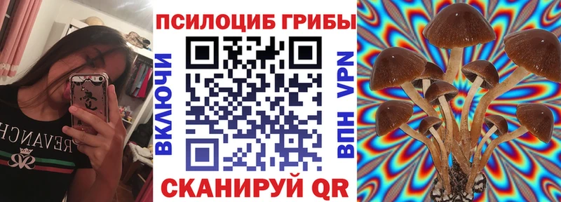 Галлюциногенные грибы Magic Shrooms  Верхотурье 